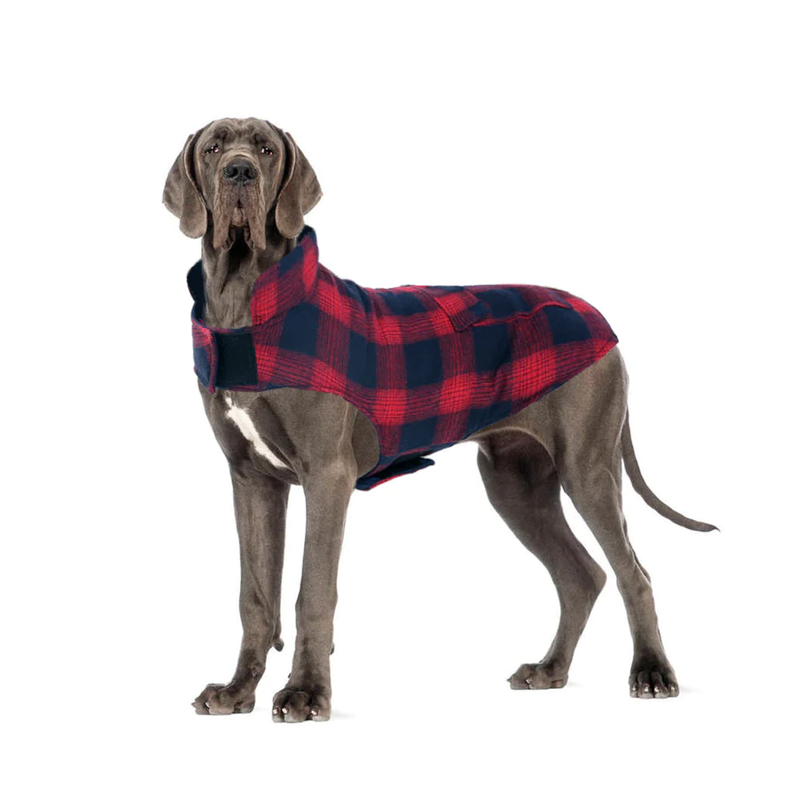 best holiday gift guide for dogs features a  dog sweater for cold weather