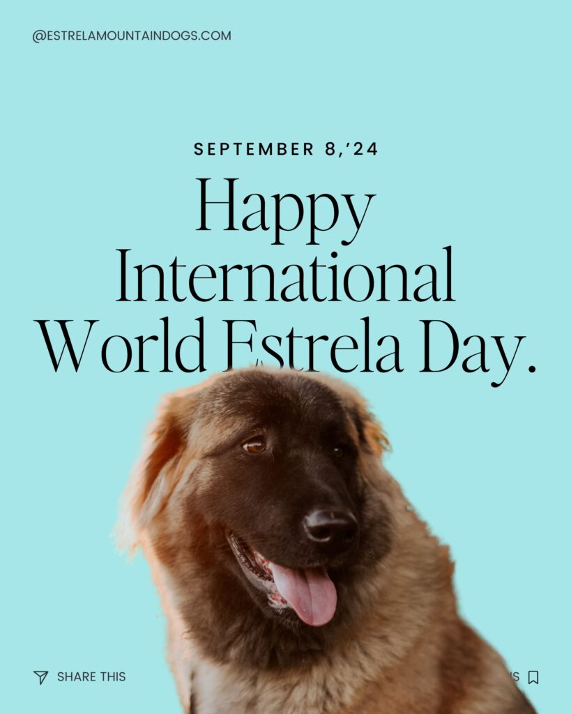 International Estrela Mountain Dog Day with estrelamountaindogs.com