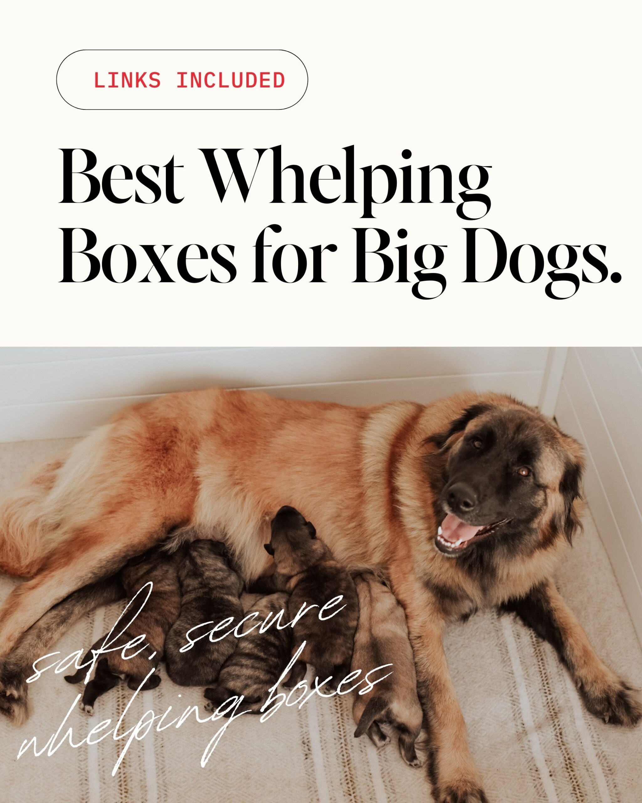 whelping box for large breed dog