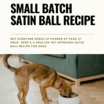 small batch of satin balls for dogs