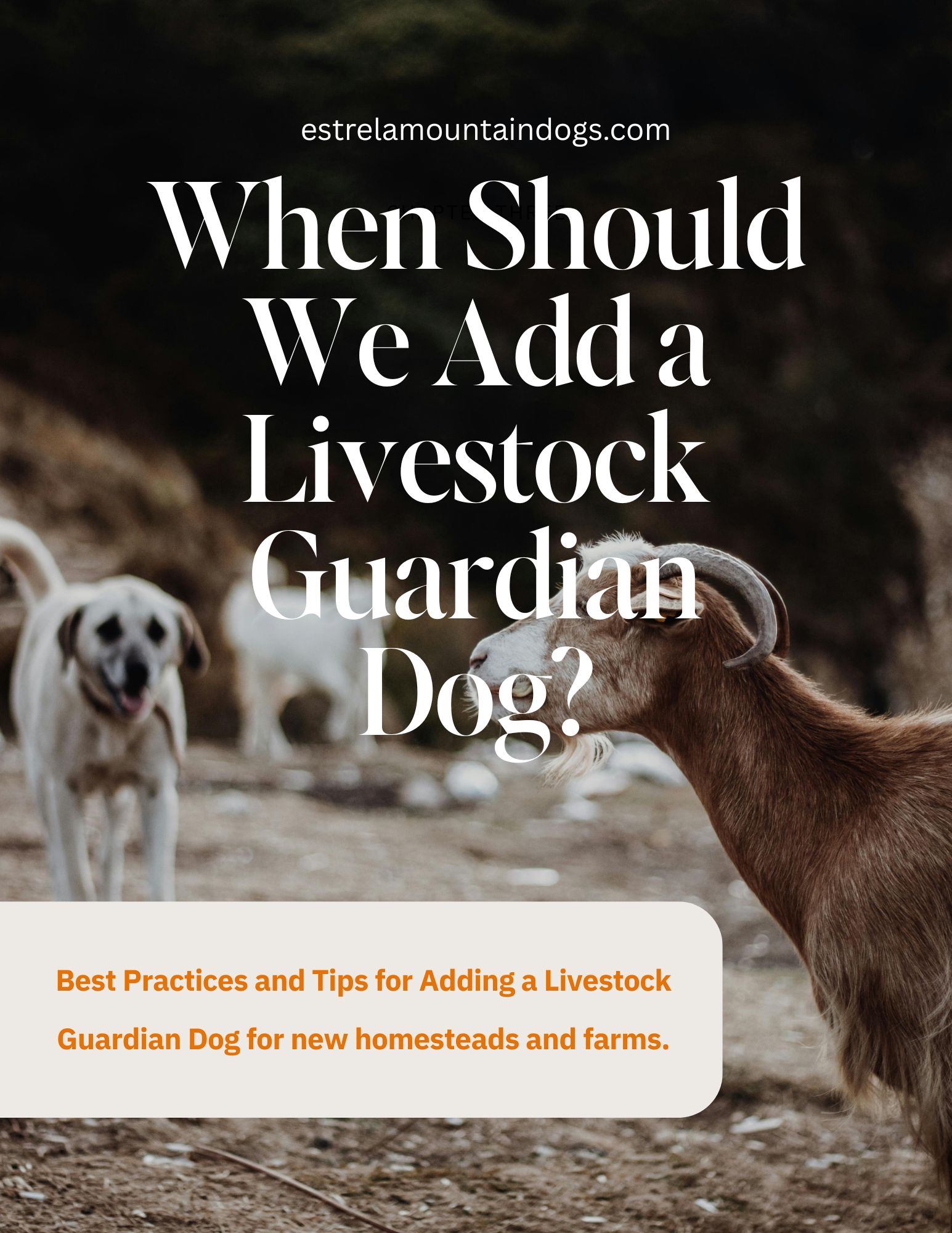 when to add a livestock guardian dog